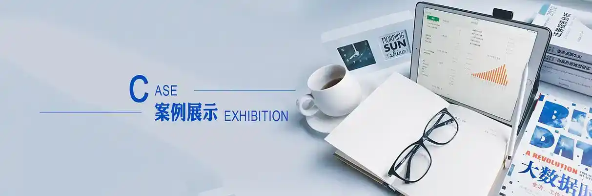 户县软件开发